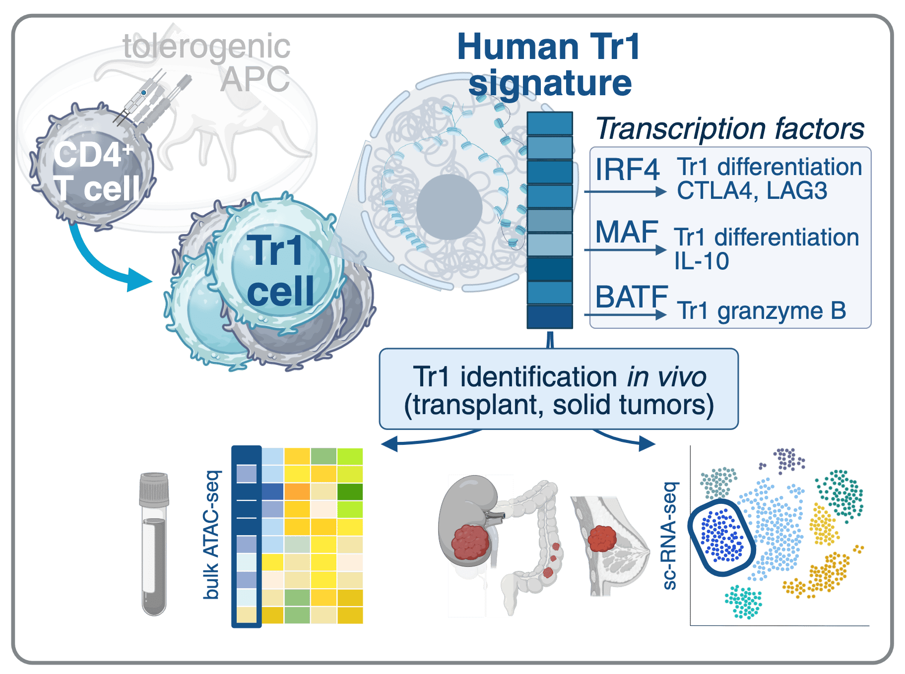 Tr1 Signitures Example Cepika Lab